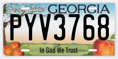 GA license plate PYV3768