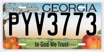 GA license plate PYV3773