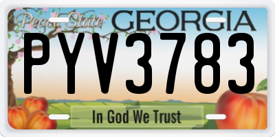 GA license plate PYV3783