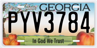 GA license plate PYV3784