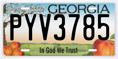 GA license plate PYV3785