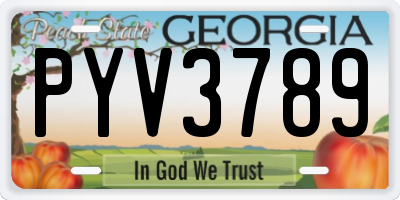 GA license plate PYV3789