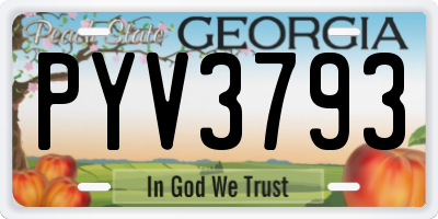 GA license plate PYV3793