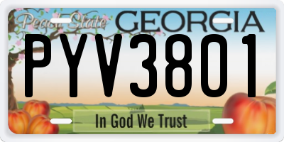 GA license plate PYV3801