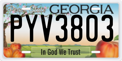 GA license plate PYV3803