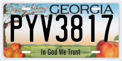 GA license plate PYV3817