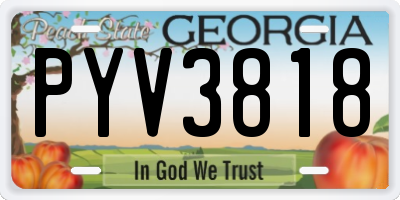 GA license plate PYV3818