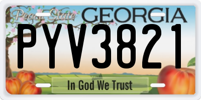 GA license plate PYV3821