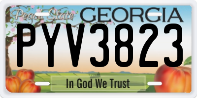 GA license plate PYV3823