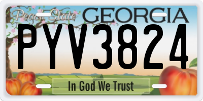 GA license plate PYV3824