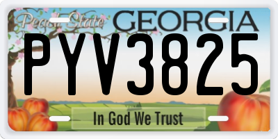 GA license plate PYV3825