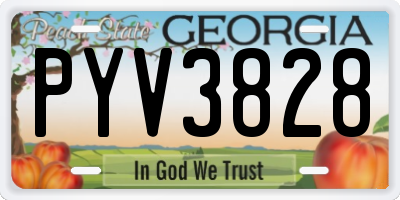 GA license plate PYV3828