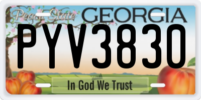 GA license plate PYV3830