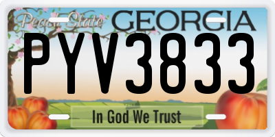 GA license plate PYV3833