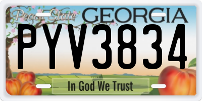 GA license plate PYV3834