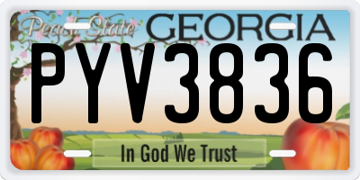 GA license plate PYV3836