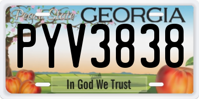 GA license plate PYV3838