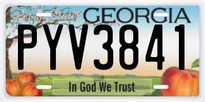 GA license plate PYV3841