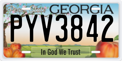 GA license plate PYV3842