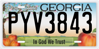 GA license plate PYV3843