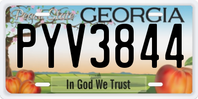 GA license plate PYV3844