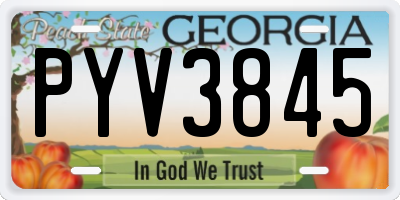 GA license plate PYV3845