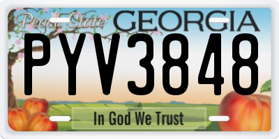 GA license plate PYV3848