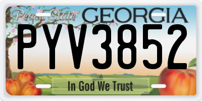 GA license plate PYV3852