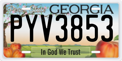 GA license plate PYV3853