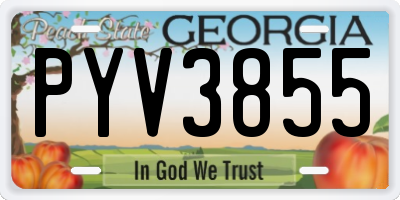 GA license plate PYV3855
