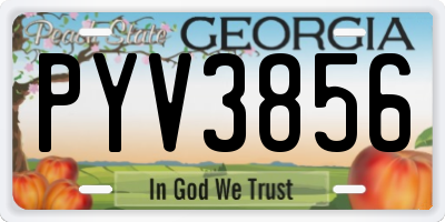 GA license plate PYV3856