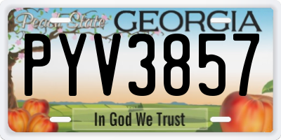 GA license plate PYV3857