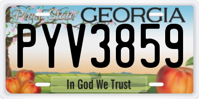 GA license plate PYV3859