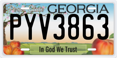 GA license plate PYV3863