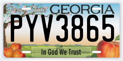 GA license plate PYV3865