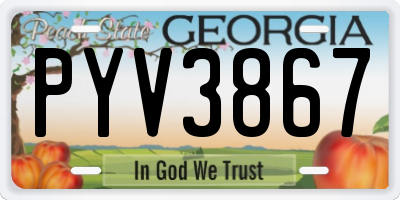 GA license plate PYV3867