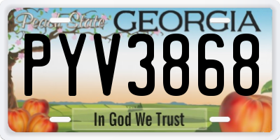 GA license plate PYV3868