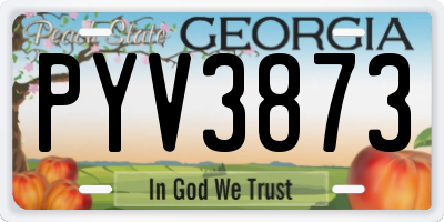 GA license plate PYV3873