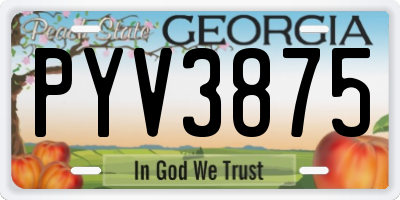 GA license plate PYV3875
