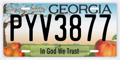 GA license plate PYV3877