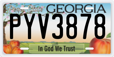 GA license plate PYV3878