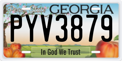 GA license plate PYV3879