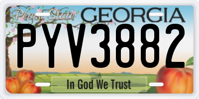 GA license plate PYV3882
