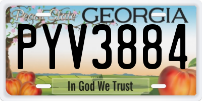 GA license plate PYV3884