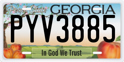 GA license plate PYV3885