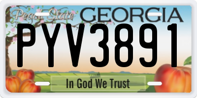 GA license plate PYV3891