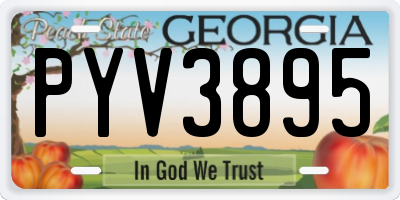 GA license plate PYV3895
