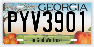 GA license plate PYV3901