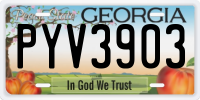 GA license plate PYV3903