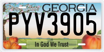 GA license plate PYV3905
